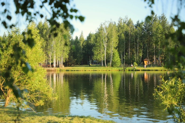 Клинцы.Инфо: Интернет-фотовыставка «Вода в природе»