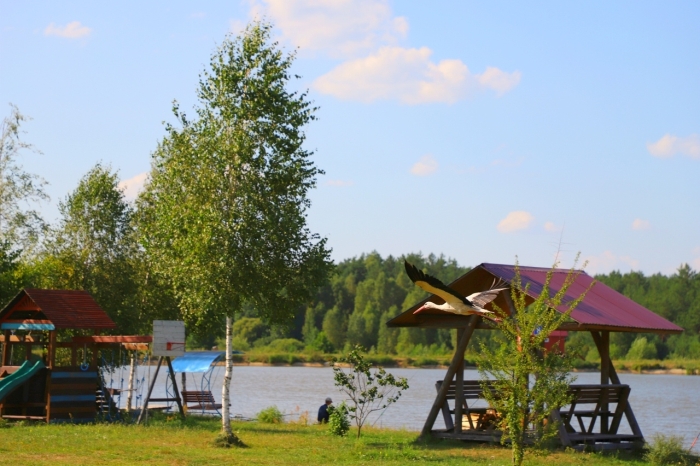 Клинцы.Инфо: Интернет-фотовыставка «Вода в природе»