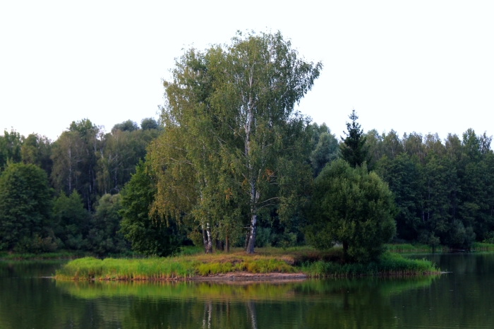 Клинцы.Инфо: Интернет-фотовыставка «Вода в природе»
