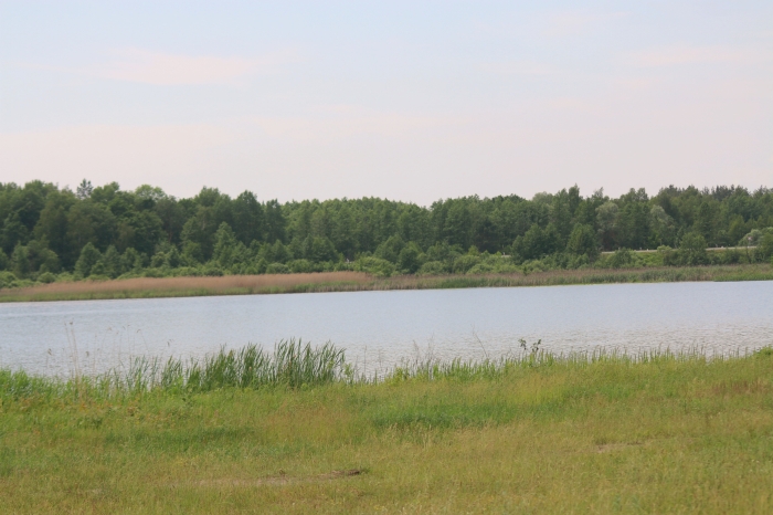 На озере «Заломенье» откроется база отдыха
