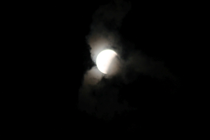 Затмение Луны и Великое противостояние Марса – фоторепортаж из города Клинцы