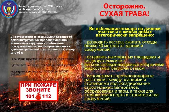 С начала 2022 года на территории г. Клинцы и Клинцовского района зарегистрировано более 75 возгораний сухой травы