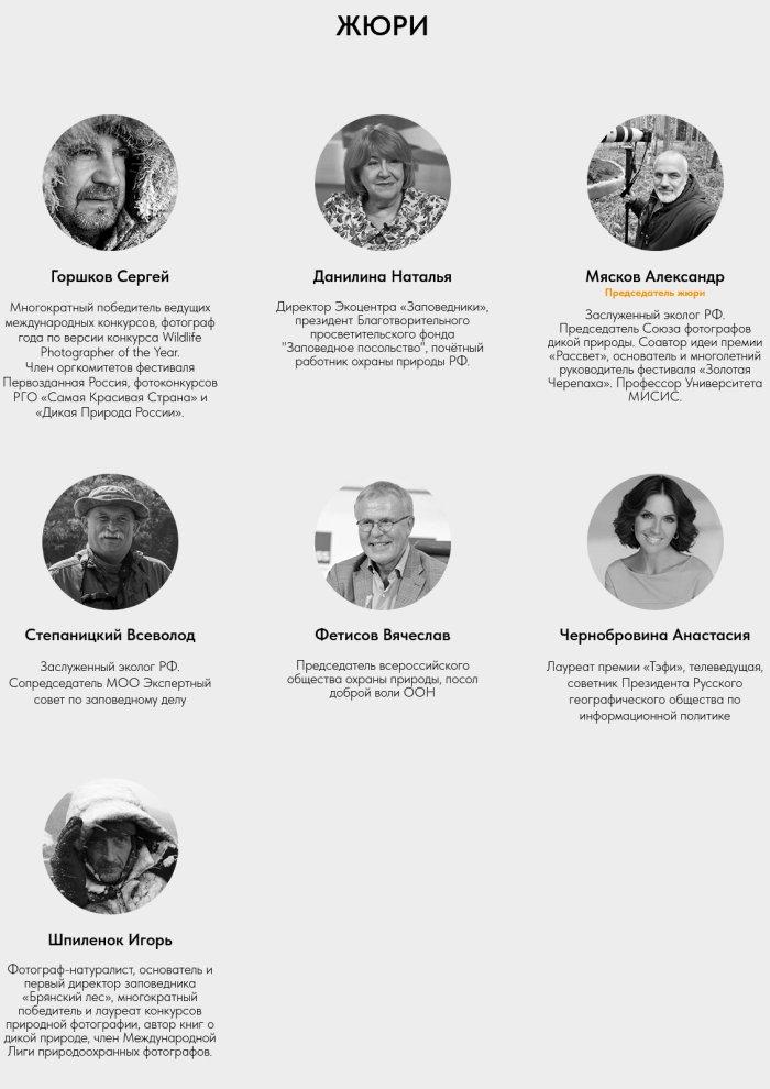 Проект СМИ Клинцы.Инфо о бородатой неясыти стал финалистом национальной премии «Рассвет»