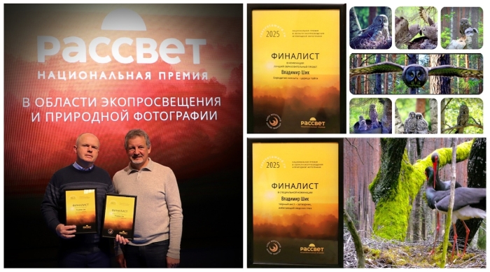 Два проекта СМИ Клинцы.Инфо отметили во время награждения национальной премии «Рассвет»