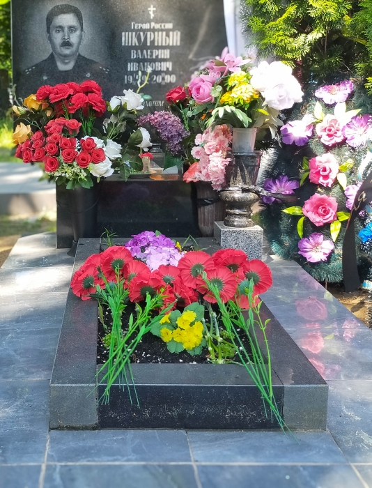 Памяти Валерия Шкурного
