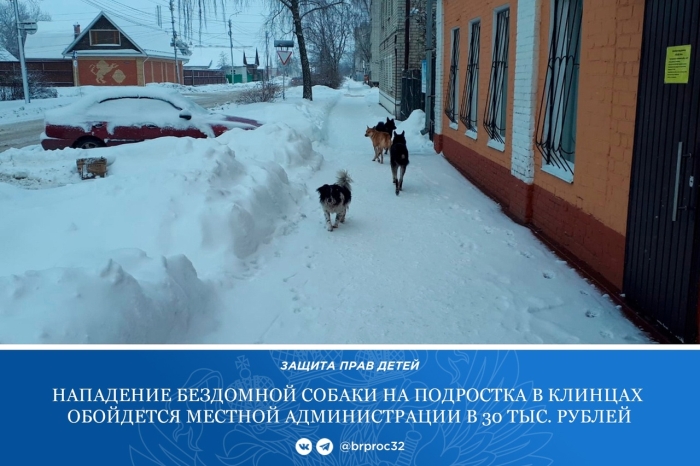 В Клинцах по требованию прокурора несовершеннолетнему из-за укуса собаки будет выплачена компенсация морального вреда