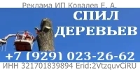 Профессиональный спил деревьев