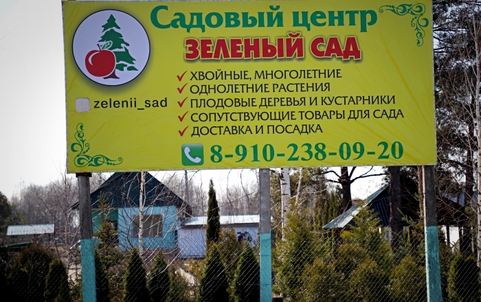 Зеленый сад