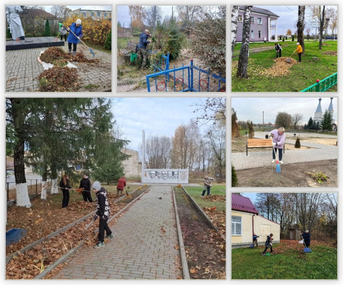 Акция «Чистое село» объединила жителей Клинцовского района