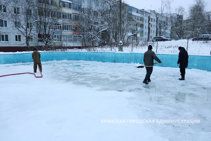 В Брянске готовят 97 зимних спортивных объектов