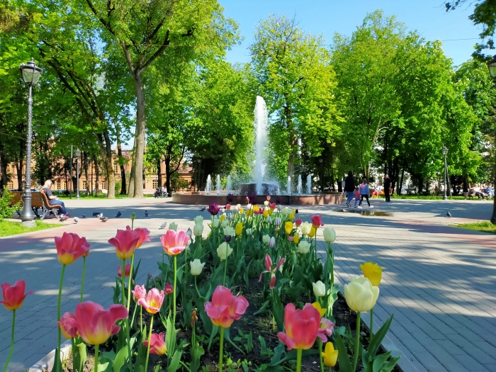 В 2024 году Брянск  планируют украсить 220 тысячами растений, установив своеобразный рекорд