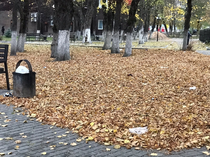 В Клинцах утопает в мусоре Центральный сквер