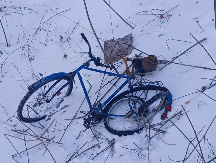  В Клинцовском районе иномарка сбила велосипедиста