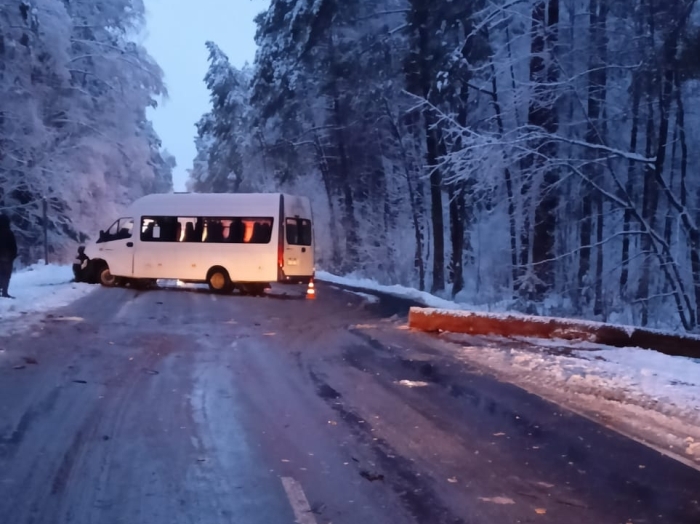 Из-за падения дерева на автодорогу произошло ДТП в Клинцовском районе