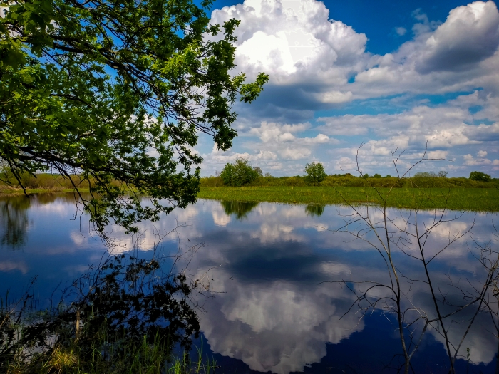 Клинцовский район: Красота русской природы