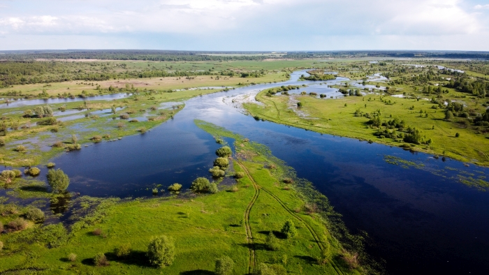 Клинцовский район: Река Ипуть в р-не Ущерпья