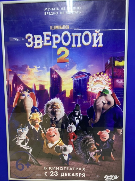ЛДПР приют