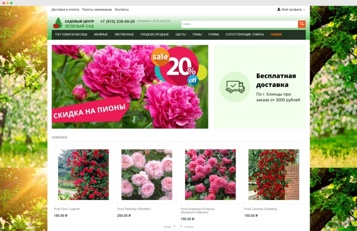 LP-PROF – создание и продвижение сайтов в Клинцах