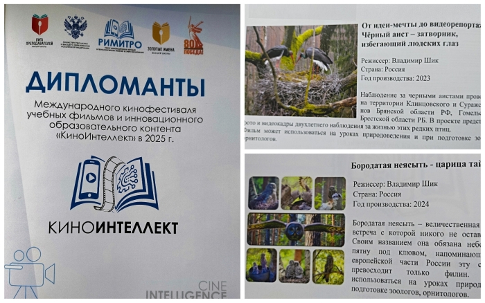 Работа СМИ Клинцы.Инфо стала лауреатом Международного кинофестиваля «КиноИнтеллект-2025»