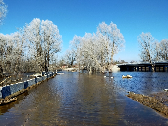 Фото новости