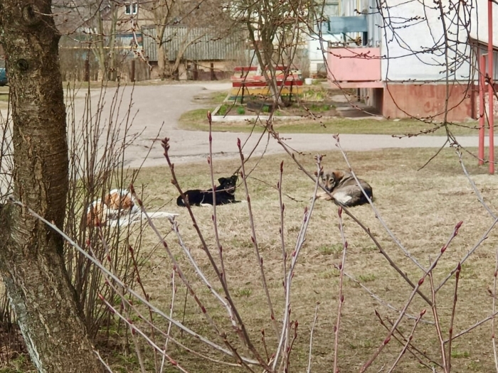 Фото новости