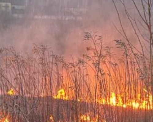 Фото новости