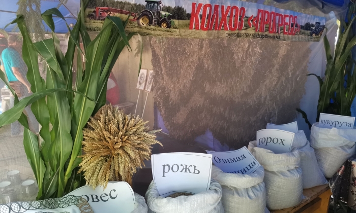 Фото новости