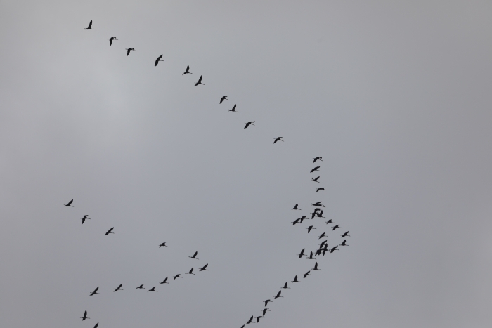 Фото новости