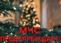 Фото новости