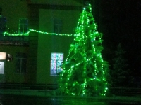 Фото новости