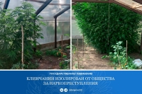 Фото новости