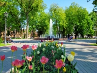 Фото новости