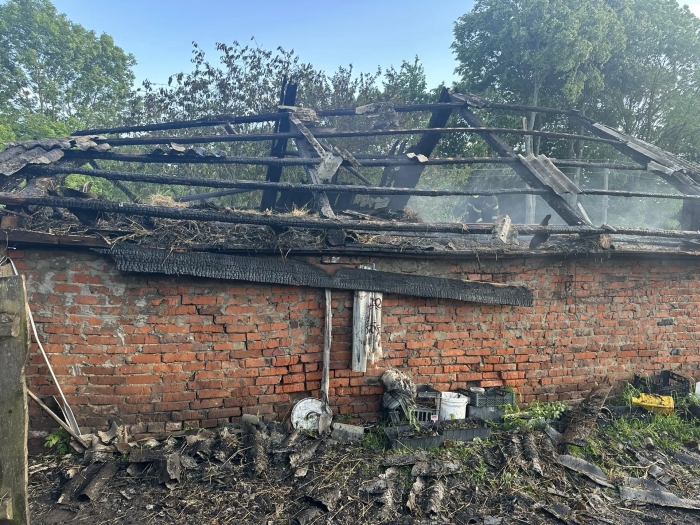 Фото новости