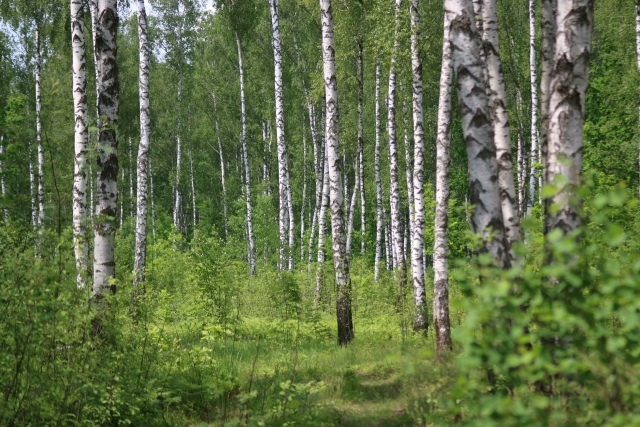 Фото новости
