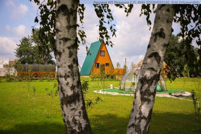 Фото новости