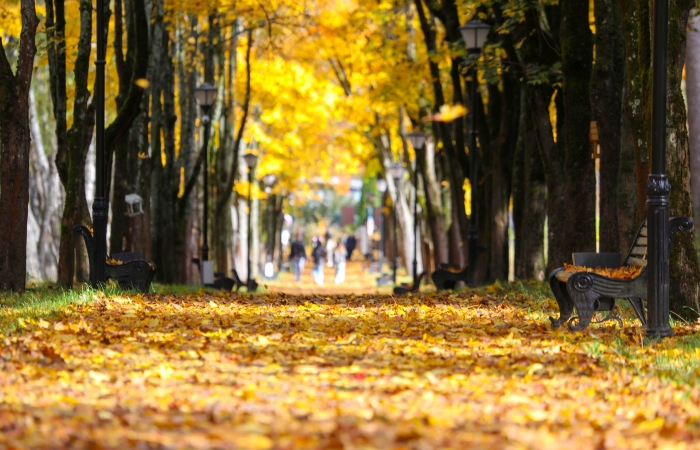Фото новости