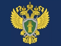 Фото новости