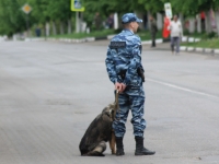 Фото новости