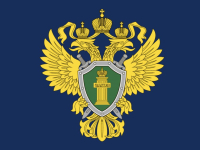 Фото новости