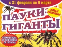 Фото новости