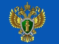 Фото новости