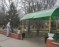 Фото новости
