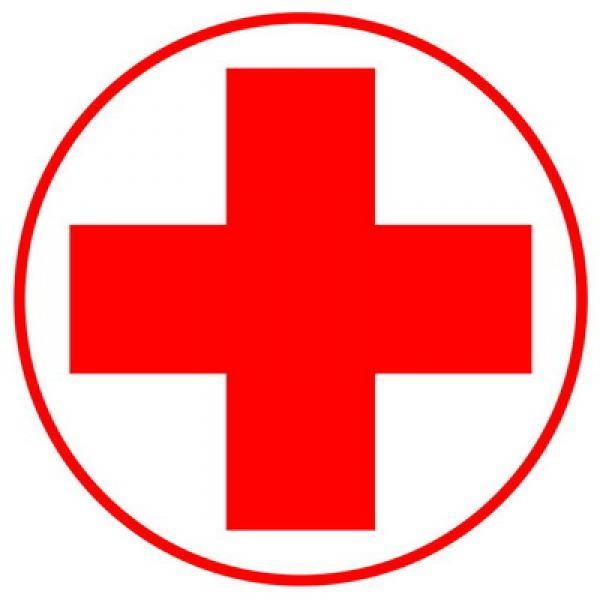 Фото новости