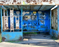 Фото новости
