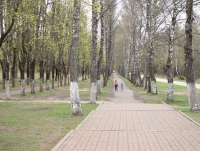 Фото новости