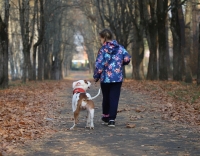 Фото новости