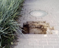 Фото новости