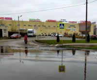 Фото новости