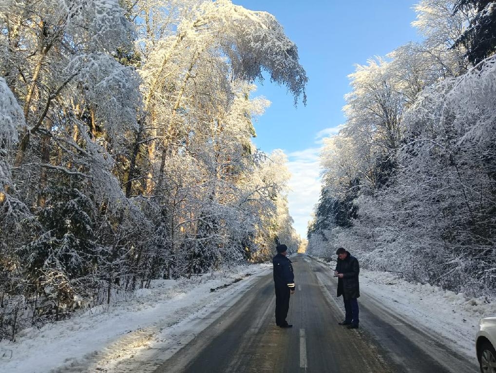 Фото новости