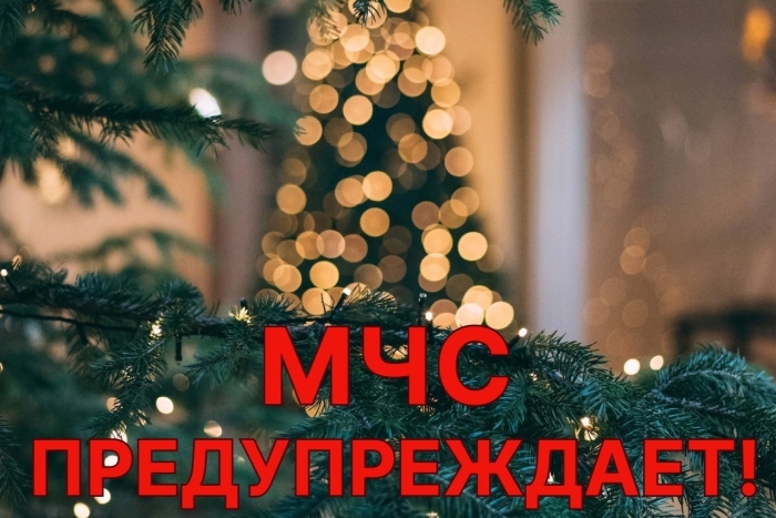 Фото новости